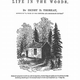 Image for article titled Walden: The Game Is In Development